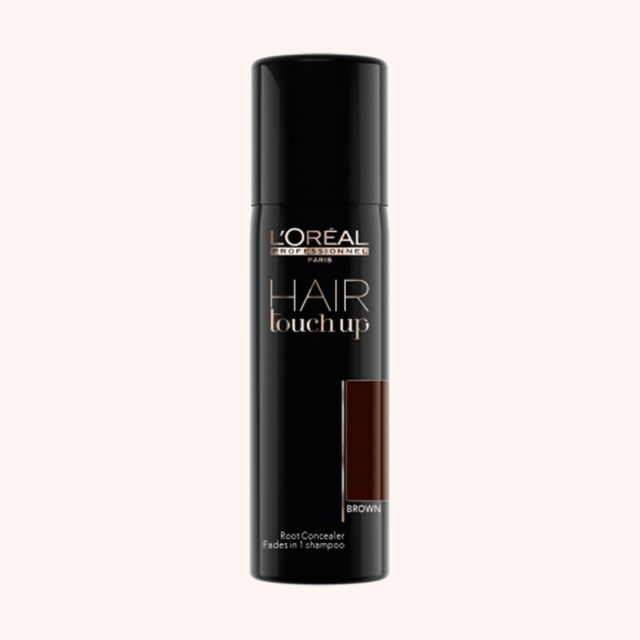 Hair Touch Up Brown Brown