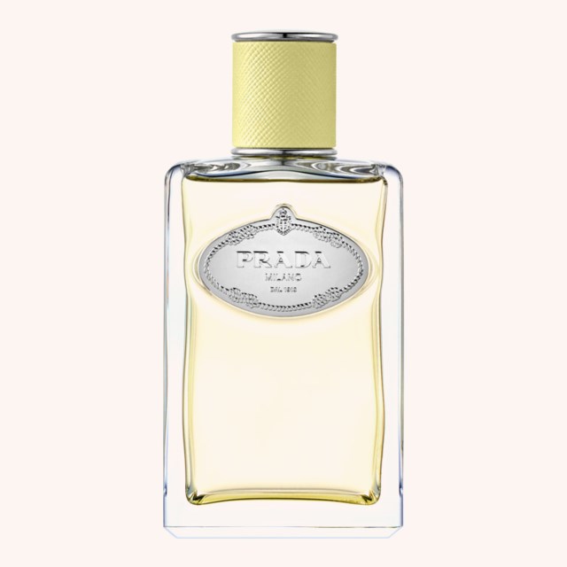 Infusion De Gingembre EdP 100 ml Infusion De Gingembre EdP 100 ml