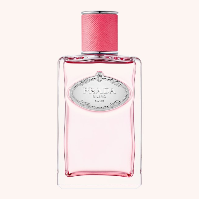 Infusion Rhubarbe 100 ml