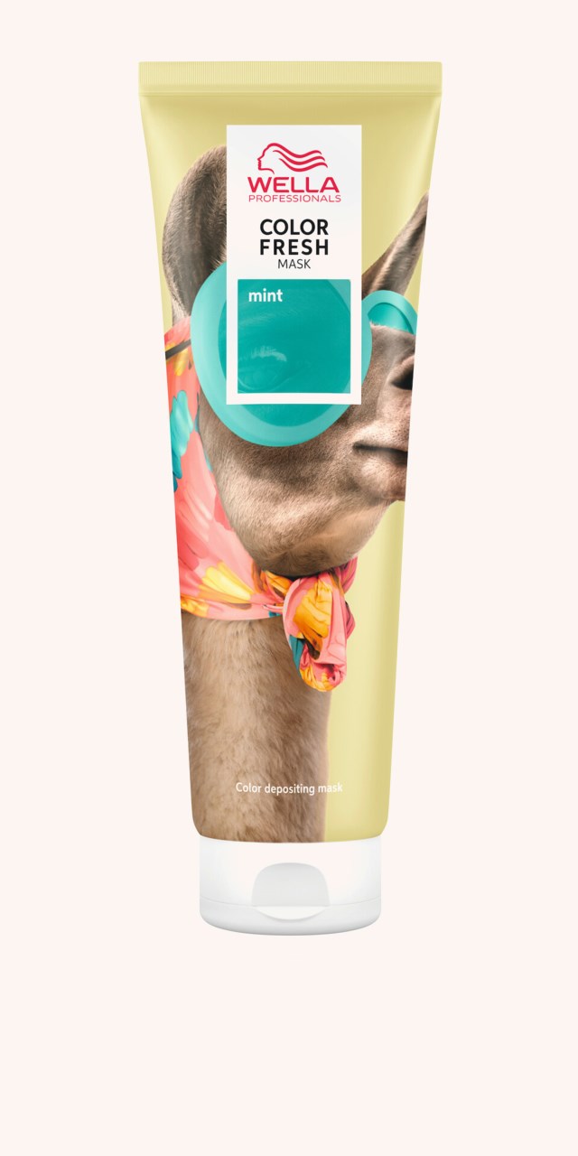 Color Fresh Mask Mint Hair Toning 150 ml