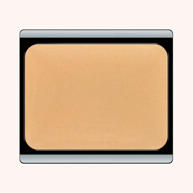 Camouflage Cream Foundation 8 Beige Apricot