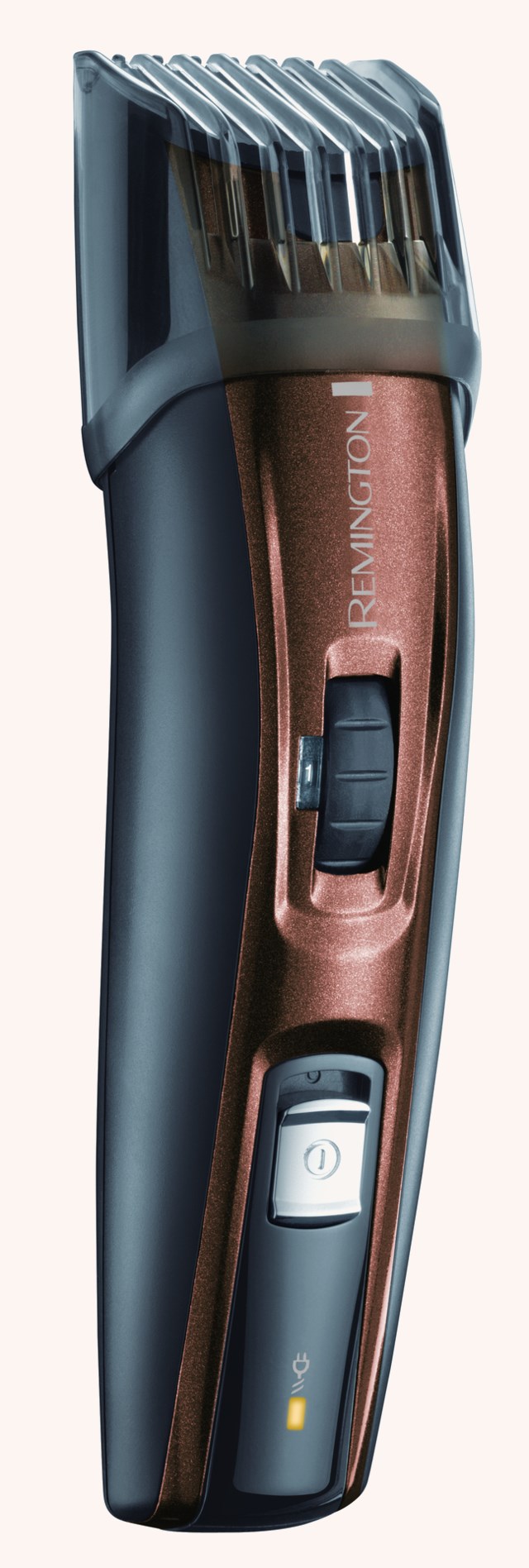 Beard Kit