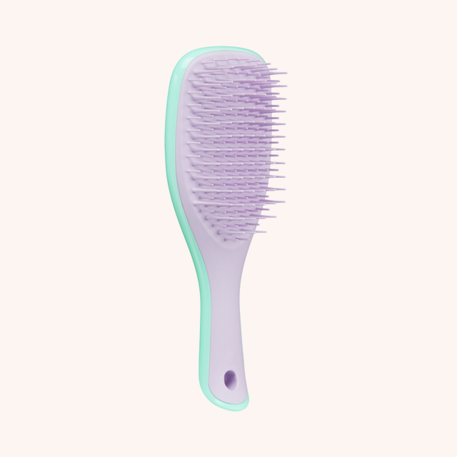 Wet Detangler Mini Hair Brush Wisteria Leaf