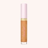 Born This Way Ethereal Light Concealer Gingersnap