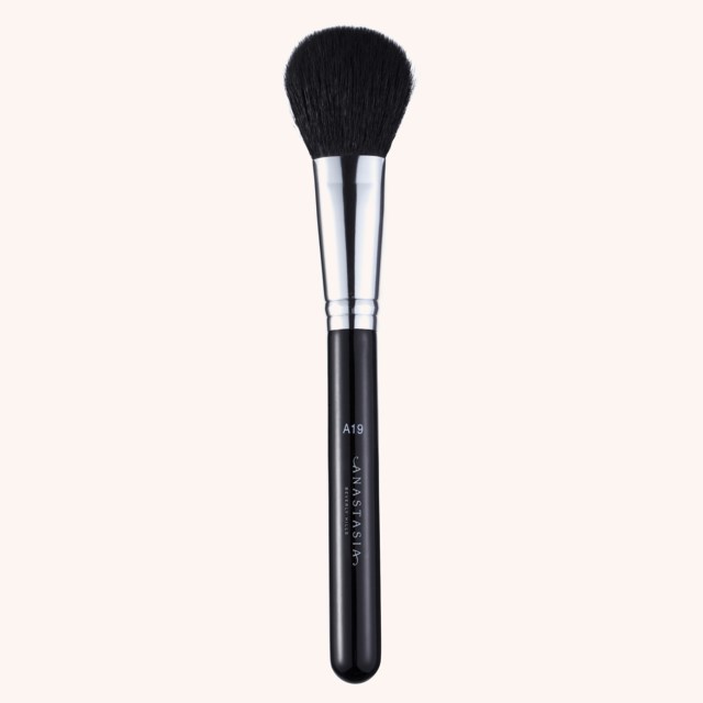 A19 Blush Brush