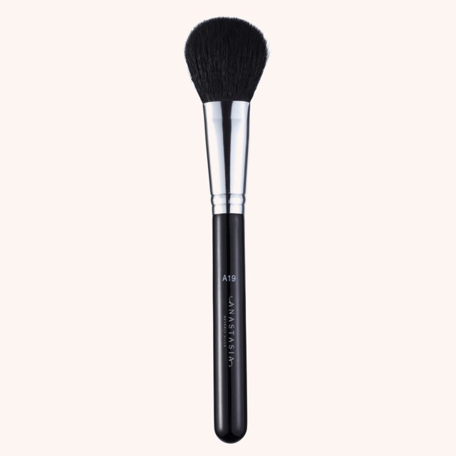 A19 Blush Brush A19 Blush Brush