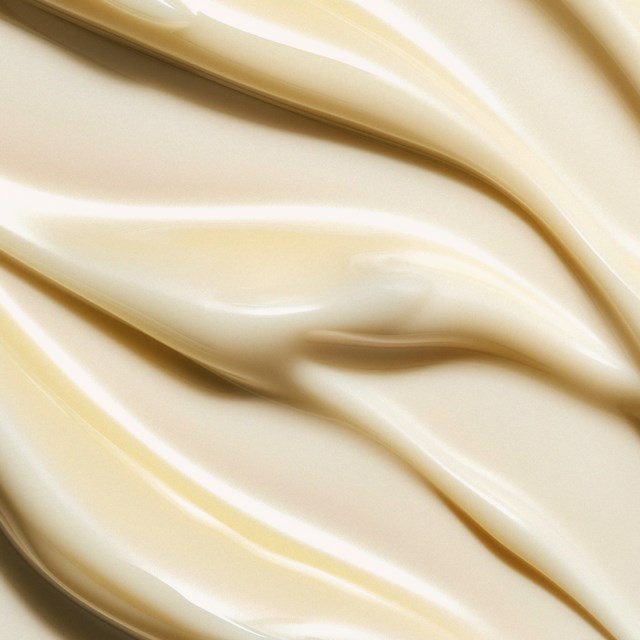 The Nourishing Body Milk 250 ml