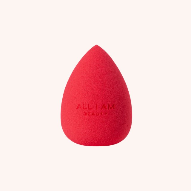 Blending Sponge