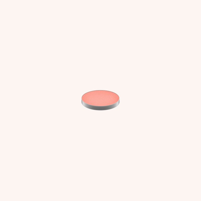 Eye Shadow Pro Palette Refill Shell Peach Eye Shadow Pro Palette Refill Shell Peach