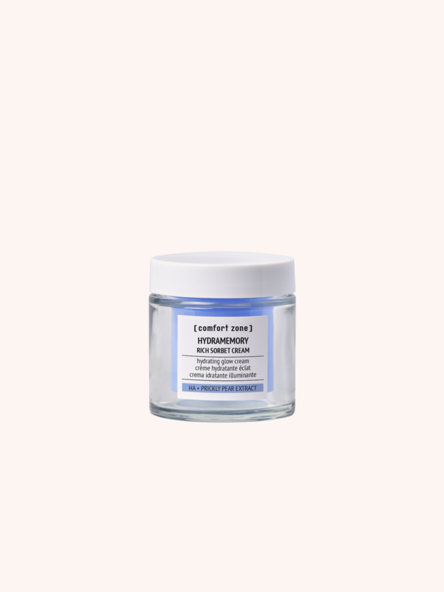 Hydramemory Rich Sorbet Cream 50 ml